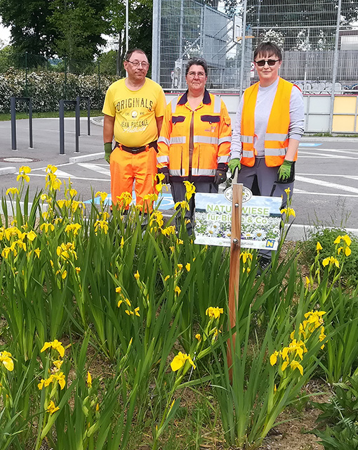 Thomas Kreuter, Michaela Krtek und Edith Schmid sind fleißig am Jäten, hier beim Parkplatz des Stadtsees. Foto: Johannes Strommer